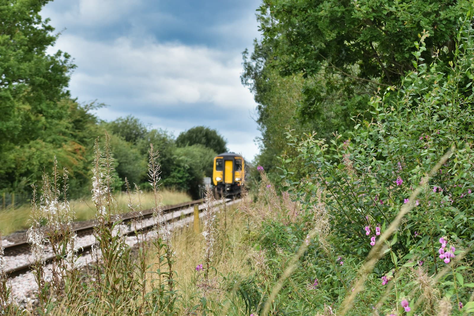 Transport and Connectivity