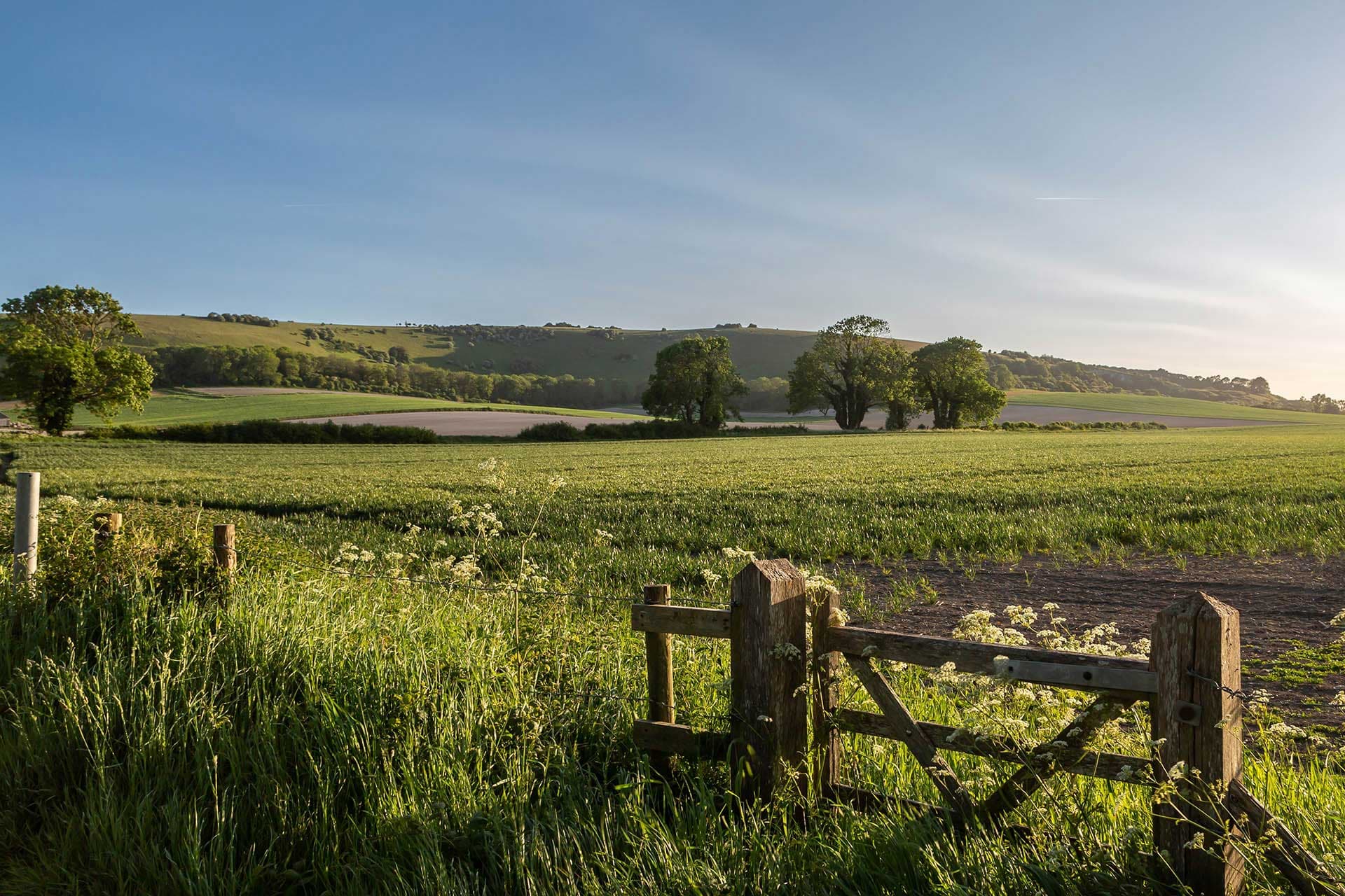 Yorkshire’s Finest Land & New Homes